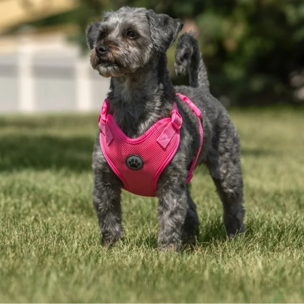 NWOT Vibrant Life Large Pink Dog Harness